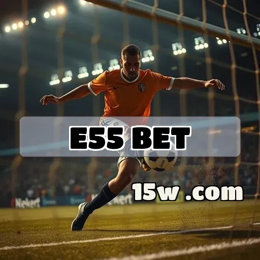 e55.com bet: Edificando sua Experiência com os Termos de Uso